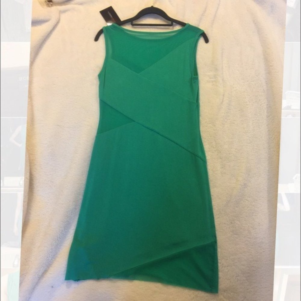 Bailey 44 mesh cut-out Mini Dress